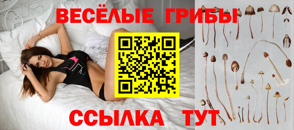 Галлюциногенные грибы ЛСД Копейск